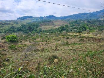 Terreno Para Vivienda en venta en Guadalajara, Brunka, Buenos Aires, Puntarenas, Costa Rica — foto 4