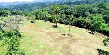 1.4 Hectares With View of Chirripo And Altagracia