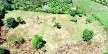 Terreno Para Vivienda en venta en San Francisco De Cajon, Pérez Zeledón, San José, Costa Rica — foto 3