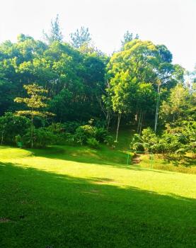 Terreno Para Vivienda en venta en Alta Gracia, Pérez Zeledón, San José, Costa Rica — foto 6