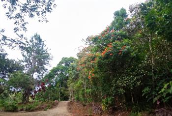 Terreno Para Vivienda en venta en Alta Gracia, Pérez Zeledón, San José, Costa Rica — foto 7