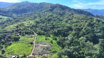 Fincas Uso Mixto en venta en Uvita, Osa, Puntarenas, Costa Rica — foto 2