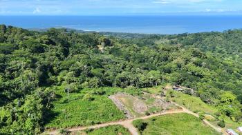 Fincas Uso Mixto en venta en Uvita, Osa, Puntarenas, Costa Rica — foto 4