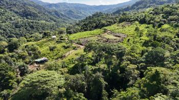 Fincas Uso Mixto en venta en Uvita, Osa, Puntarenas, Costa Rica — foto 5