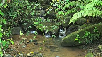 Fincas Uso Mixto en venta en Uvita, Osa, Puntarenas, Costa Rica — foto 6