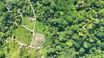 Fincas Uso Mixto en venta en Uvita, Osa, Puntarenas, Costa Rica — foto 7