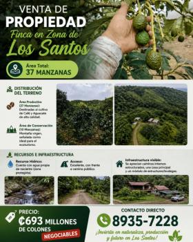 Finca Agroindustrial en venta en Zona De Los Santos, Dota, San José, Costa Rica — foto 2