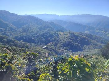 Finca Agroindustrial en venta en Zona De Los Santos, Dota, San José, Costa Rica — foto 3