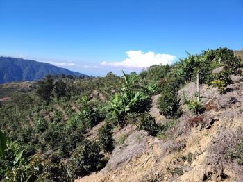Finca Agroindustrial en venta en Zona De Los Santos, Dota, San José, Costa Rica — foto 4