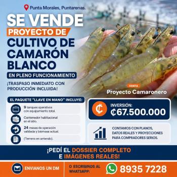 Restaurantes en venta en Chomes, Puntarenas, Costa Rica — foto 1