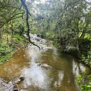 Fincas Uso Mixto en venta en Santa Rosa, Rio Nuevo, Pérez Zeledón, San José, Costa Rica — foto 2