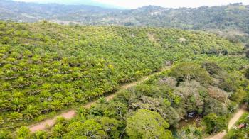 Fincas Uso Mixto en venta en Santa Rosa, Rio Nuevo, Pérez Zeledón, San José, Costa Rica — foto 6