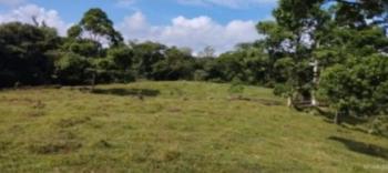 Vendo Espectacular Finca en Horquetas de Sarapiquí