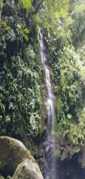 Finca Agroturística en venta en Horquetas, Sarapiquí, Heredia, Costa Rica — foto 2