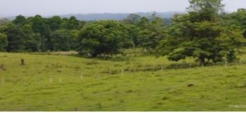 Finca Agroturística en venta en Horquetas, Sarapiquí, Heredia, Costa Rica — foto 6