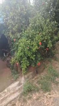 Casa una Planta en venta en Las Lomas, Parrita, Puntarenas, Costa Rica — foto 4