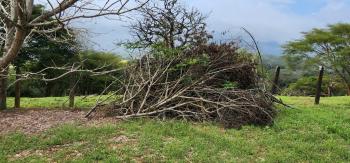 Terreno Para Vivienda en venta en La Garita, Alajuela, Costa Rica — foto 5
