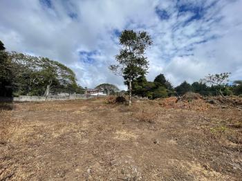 Venta de Lote en Residencial Ave Del Paraíso