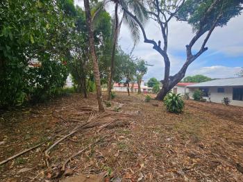 Fincas Uso Mixto en venta en San Pablo, Turrubares, San José, Costa Rica — foto 6