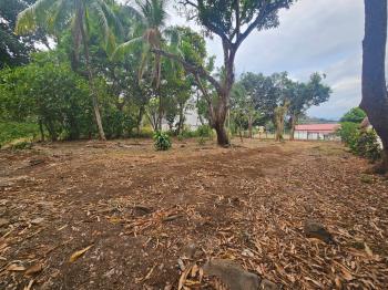 Fincas Uso Mixto en venta en San Pablo, Turrubares, San José, Costa Rica — foto 7