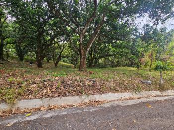 Terreno Para Vivienda en venta en San Pablo, Turrubares, San José, Costa Rica — foto 3