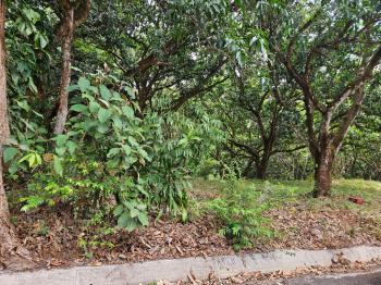 Terreno Para Vivienda en venta en San Pablo, Turrubares, San José, Costa Rica — foto 5