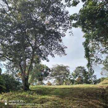 Residential Lot for sale in Quebradas, Pérez Zeledón, San José, Costa Rica — photo 2