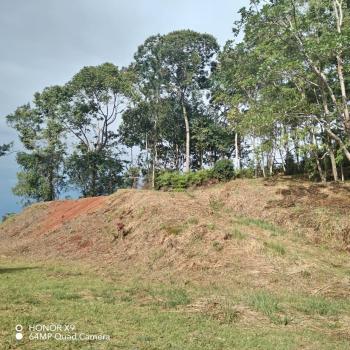 Residential Lot for sale in Quebradas, Pérez Zeledón, San José, Costa Rica — photo 4