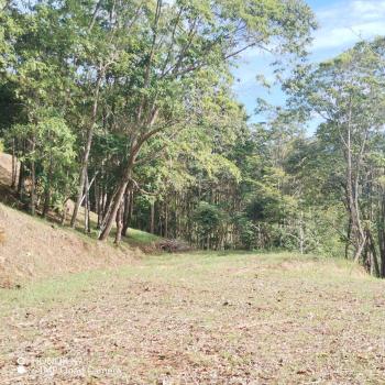 Residential Lot for sale in Quebradas, Pérez Zeledón, San José, Costa Rica — photo 6