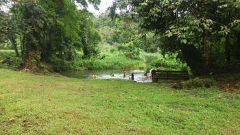 Finca para Agricultura en venta en Horquetas, Sarapiquí, Heredia, Costa Rica — foto 1