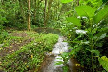 Finca para Agricultura en venta en Horquetas, Sarapiquí, Heredia, Costa Rica — foto 2