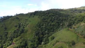 Fincas Uso Mixto en venta en San Antonio De Baru, Pérez Zeledón, San José, Costa Rica — foto 2