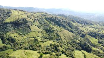 Fincas Uso Mixto en venta en San Antonio De Baru, Pérez Zeledón, San José, Costa Rica — foto 3
