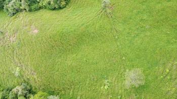 Fincas Uso Mixto en venta en San Antonio De Baru, Pérez Zeledón, San José, Costa Rica — foto 5