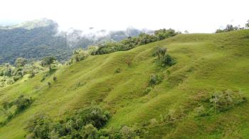 Fincas Uso Mixto en venta en San Antonio De Baru, Pérez Zeledón, San José, Costa Rica — foto 6