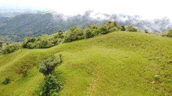 Fincas Uso Mixto en venta en San Antonio De Baru, Pérez Zeledón, San José, Costa Rica — foto 7