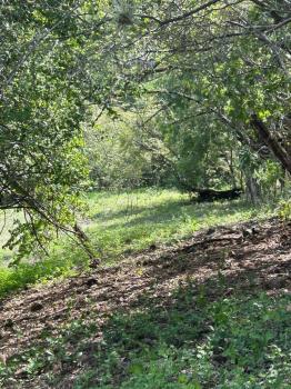 Fincas Uso Mixto en venta en Rio Grande, Atenas, Alajuela, Costa Rica — foto 2