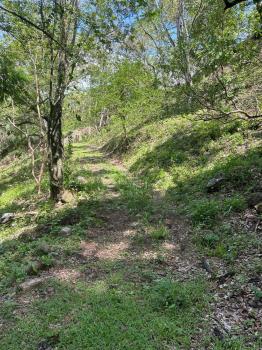Fincas Uso Mixto en venta en Rio Grande, Atenas, Alajuela, Costa Rica — foto 3
