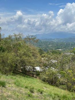 Fincas Uso Mixto en venta en Rio Grande, Atenas, Alajuela, Costa Rica — foto 4