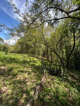 Fincas Uso Mixto en venta en Rio Grande, Atenas, Alajuela, Costa Rica — foto 5