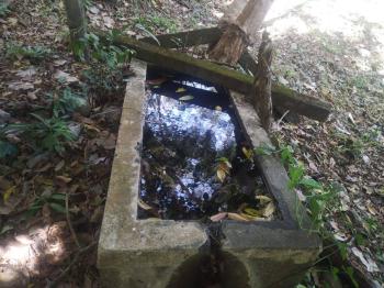 Fincas Uso Mixto en venta en Rio Grande, Atenas, Alajuela, Costa Rica — foto 7