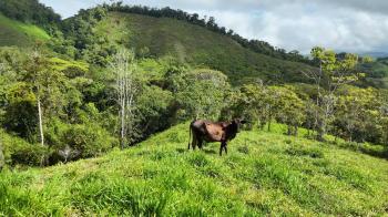 Se Vende Finca Con Agua Propia y Vistas Espectaculares de Inversion