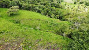 Fincas Uso Mixto en venta en Ojo De Agua, Pérez Zeledón, San José, Costa Rica — foto 3