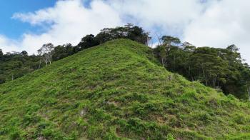 Fincas Uso Mixto en venta en Ojo De Agua, Pérez Zeledón, San José, Costa Rica — foto 4