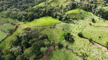 Fincas Uso Mixto en venta en Ojo De Agua, Pérez Zeledón, San José, Costa Rica — foto 6