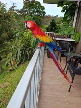 Casa una Planta en venta en Ciudad Quesada, La Tesalia, San Carlos, Alajuela, Costa Rica — foto 7