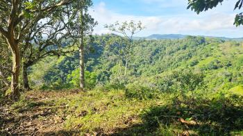 Se Vende Finca Con Vistas Panoramicas e Ideal Para Glamping en Perez Zeledon