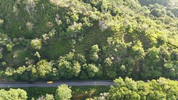 Fincas Uso Mixto en venta en Alto San Juan, Pérez Zeledón, San José, Costa Rica — foto 2