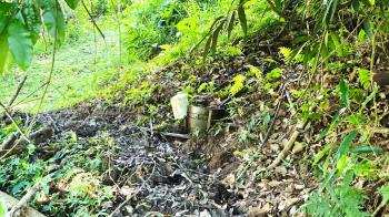 Fincas Uso Mixto en venta en Alto San Juan, Pérez Zeledón, San José, Costa Rica — foto 7