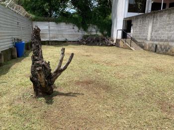 Terreno Para Vivienda en venta en Atenas Centro, Atenas, Alajuela, Costa Rica — foto 2
